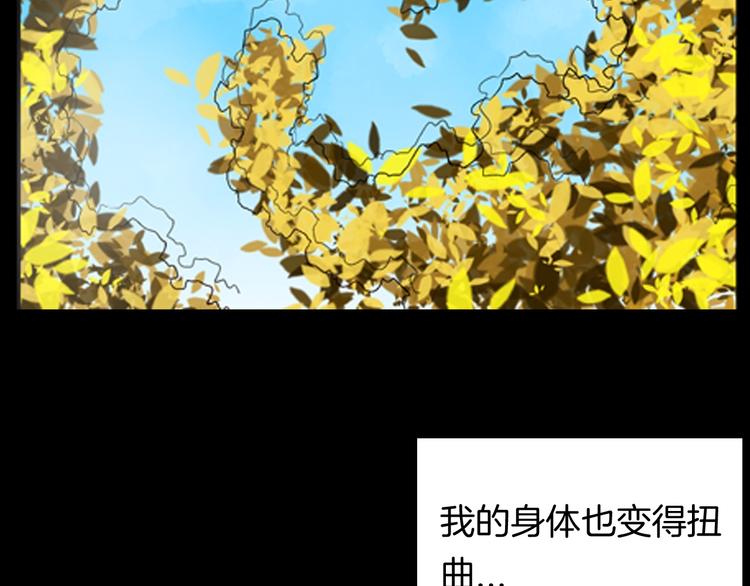 山林怪談 - 第94話 以形補形(2/3) - 5