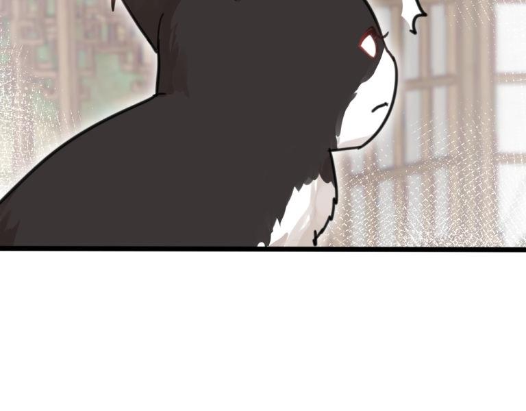 第7话 我变成猫了？(1/2)-第40话