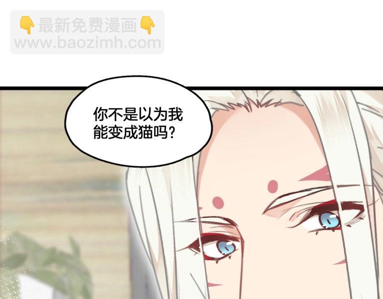 第7话 我变成猫了？(1/2)-第40话