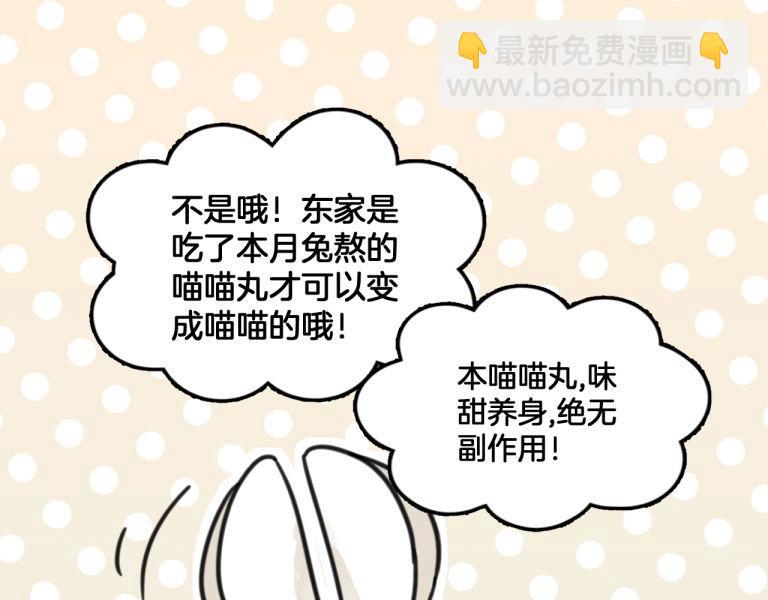 第7话 我变成猫了？(1/2)-第40话