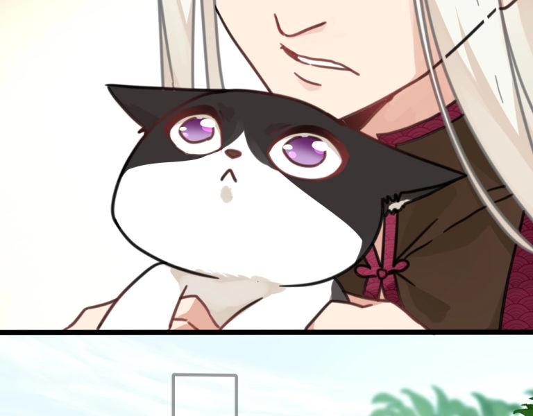 第7话 我变成猫了？(1/2)-第40话