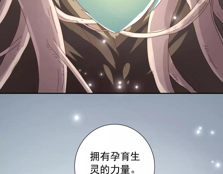 第5话  山林的秘密(1/2)-第6话