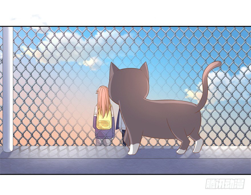 62 我有特殊的交通方式-第66话