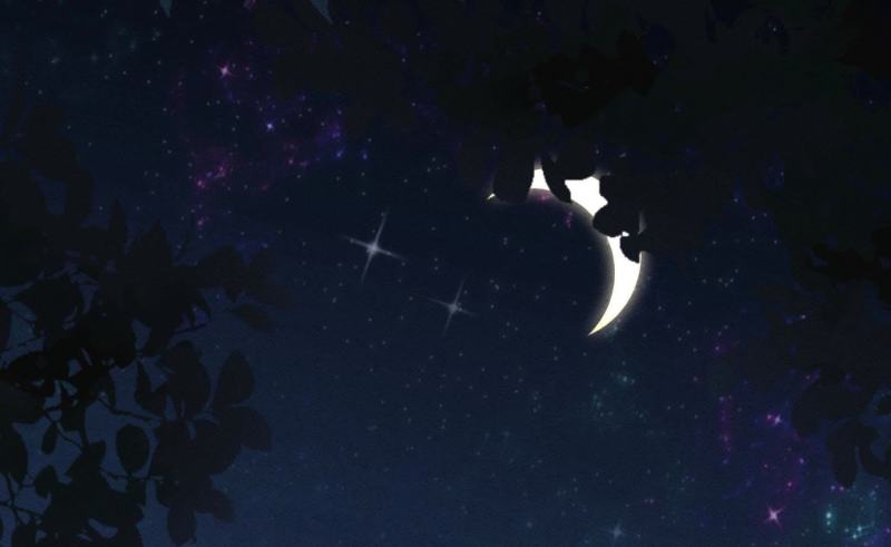 第23话(1/3)-第24话