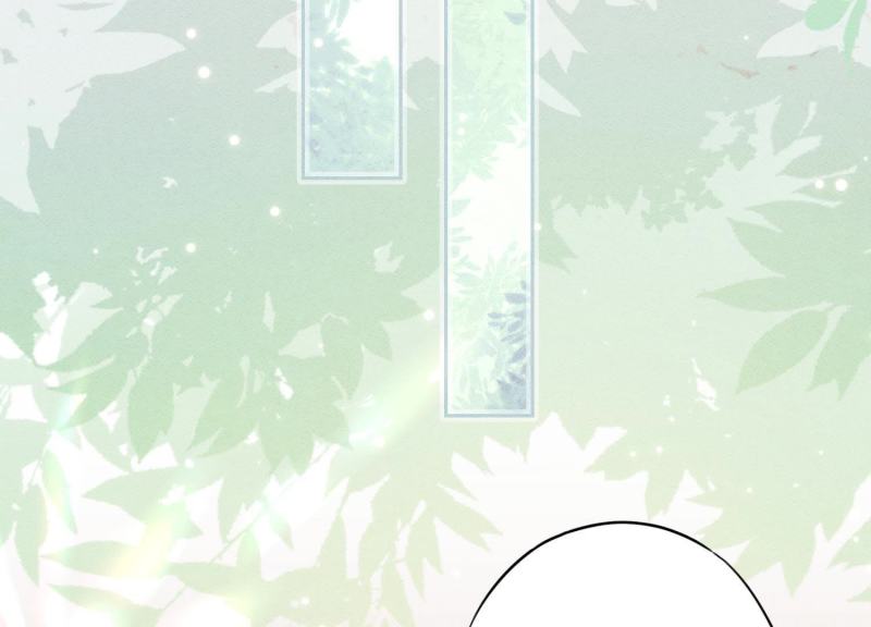 第41话(1/3)-第42话