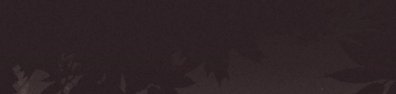 第79话(1/3)-第80话