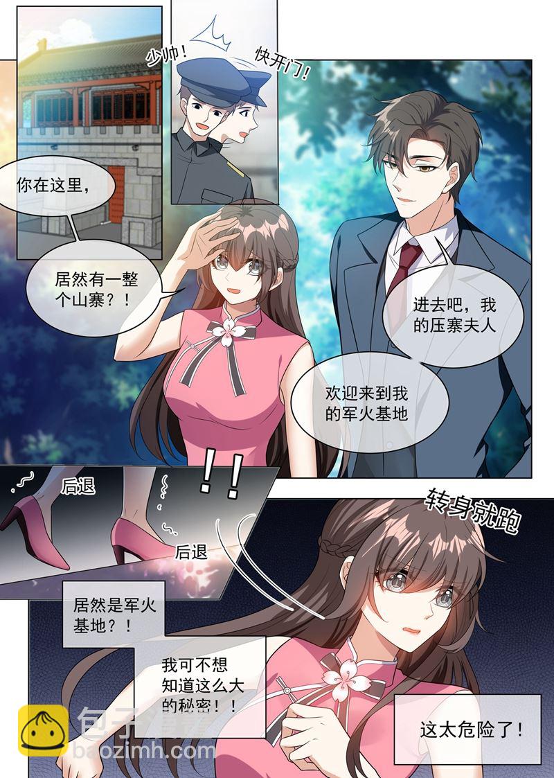 少帥你老婆又跑了 - 第246話 他的軍火基地？ - 2