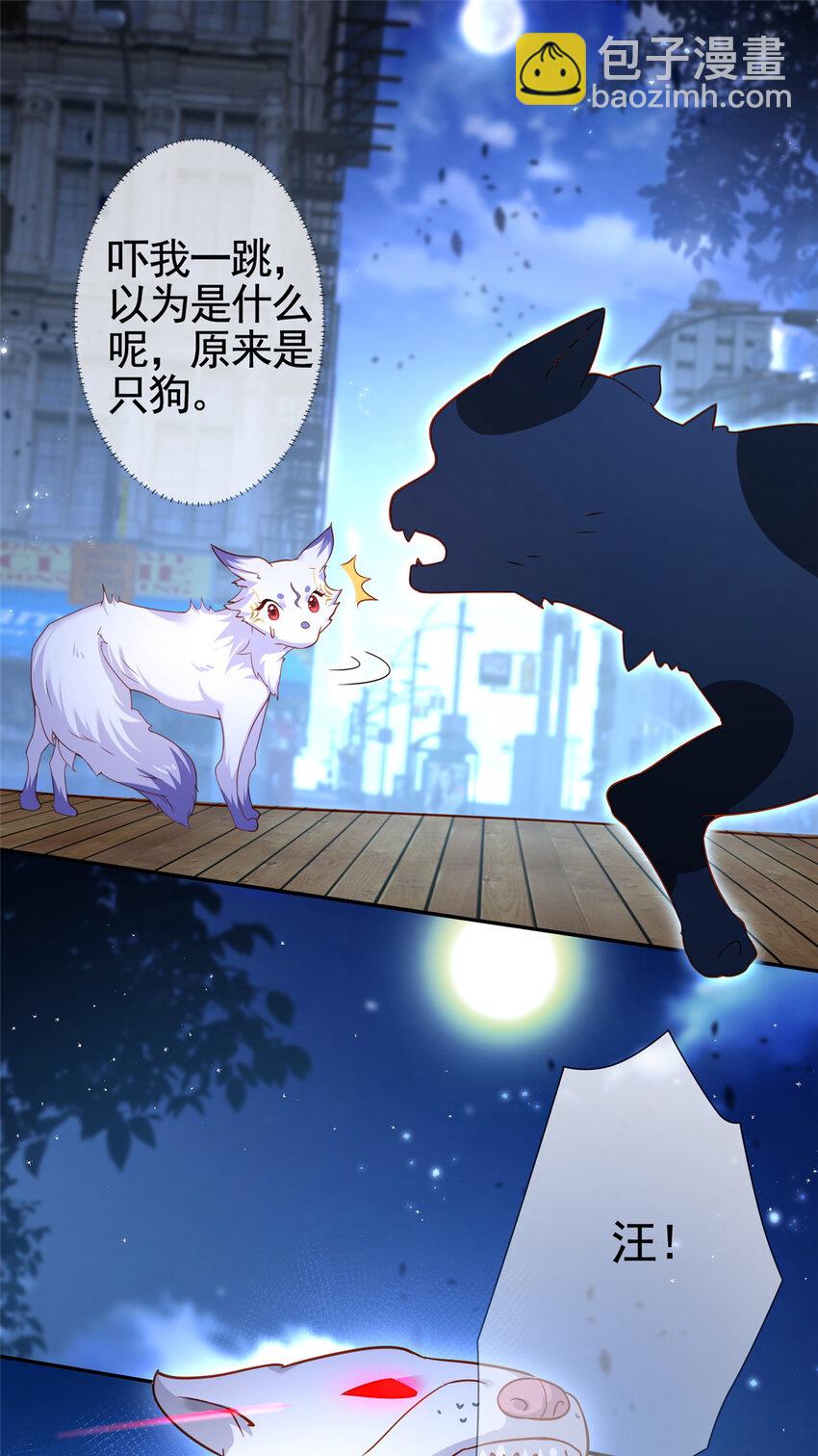 001 被小三打败的狐狸精-第2话