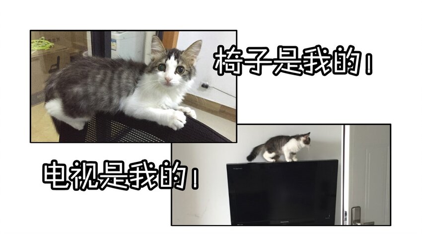 59.jpg