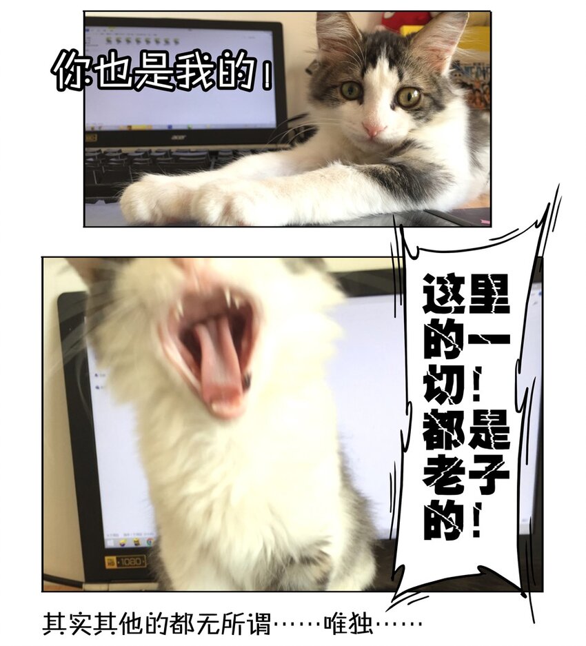 61.jpg