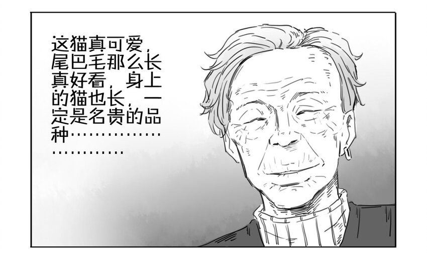 73.jpg