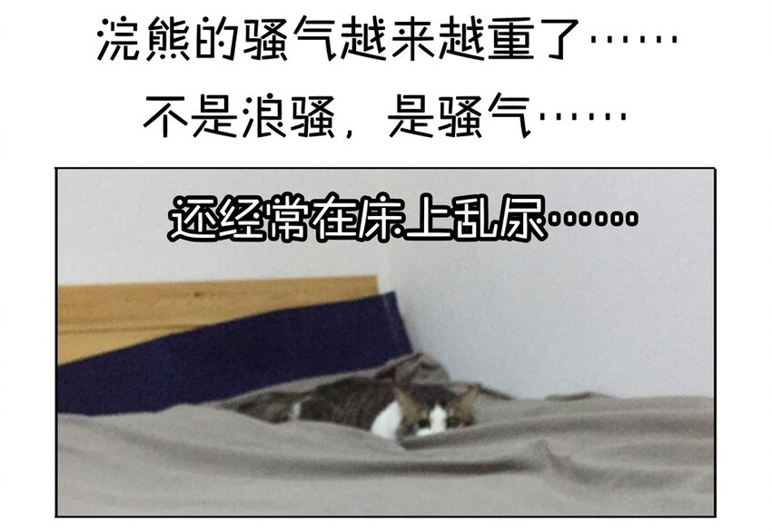 79.jpg