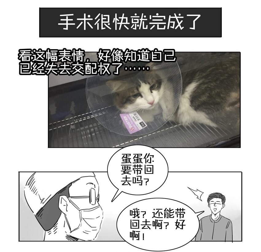 85.jpg