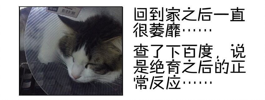 89.jpg