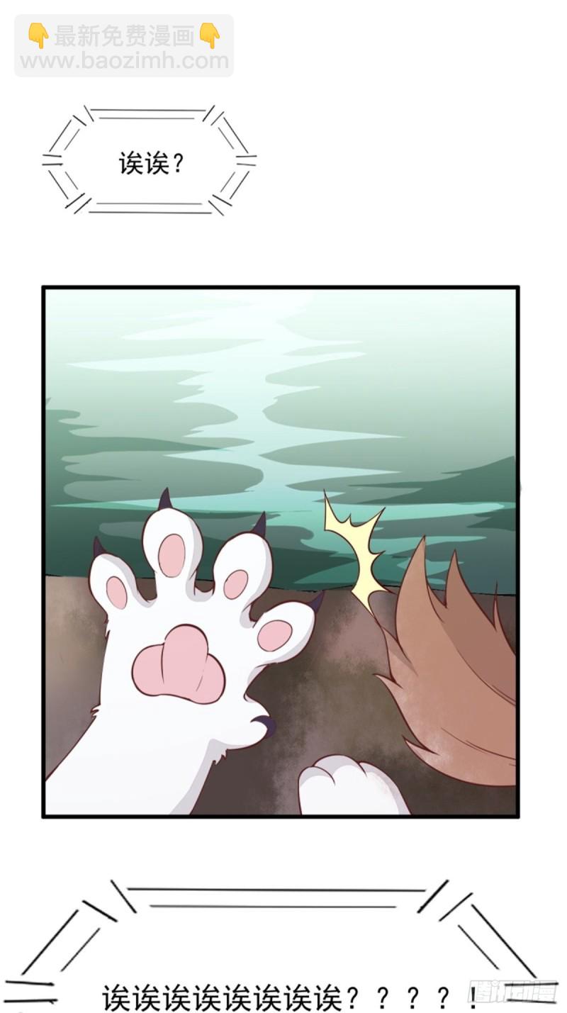 30-喵？？-第32话