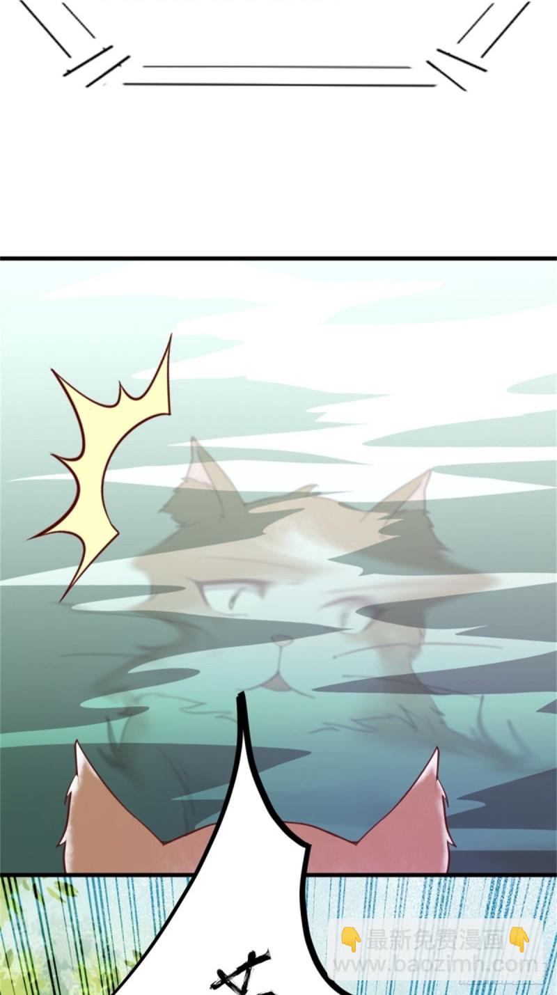 30-喵？？-第32话