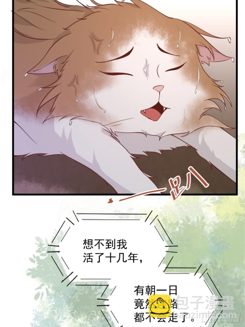 30-喵？？-第32话