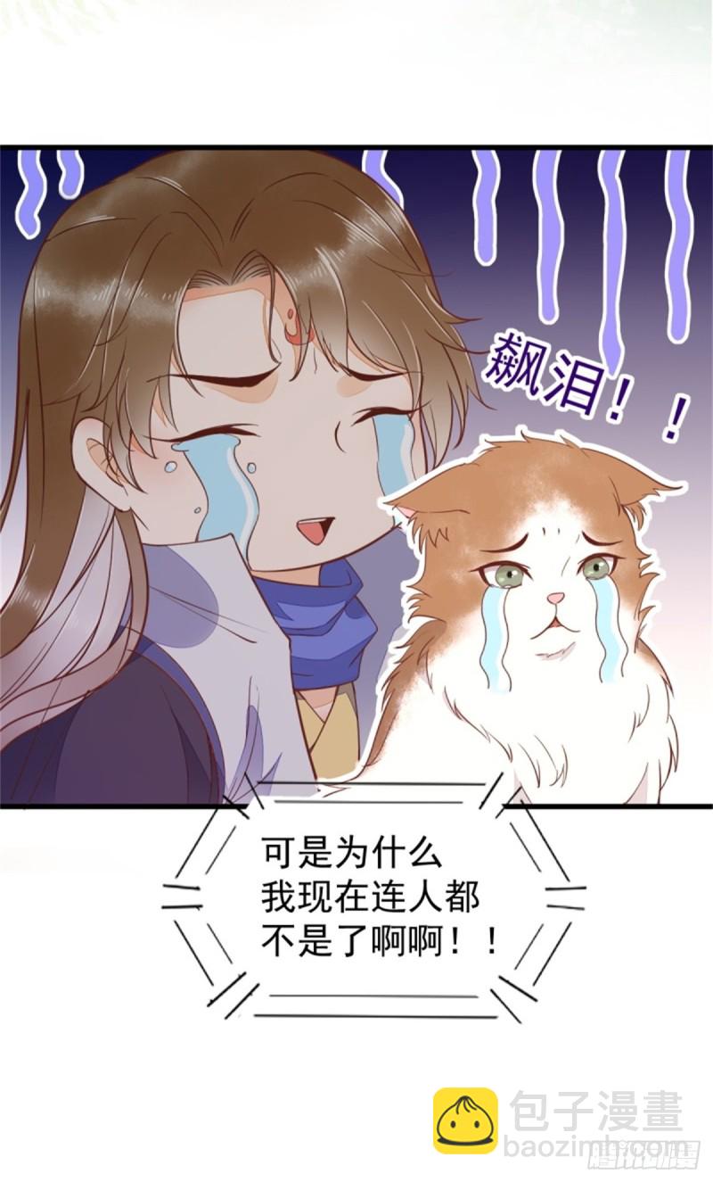 30-喵？？-第32话