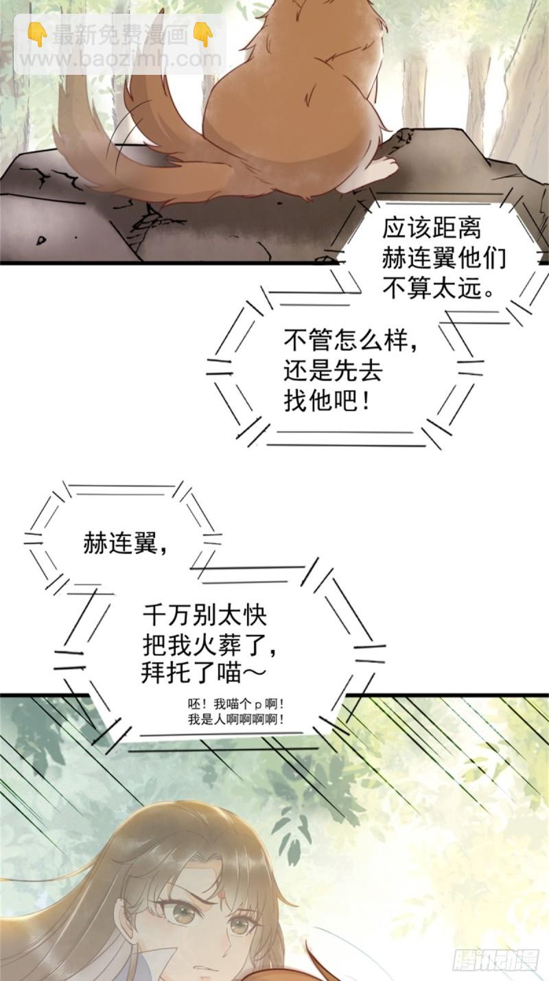 30-喵？？-第32话