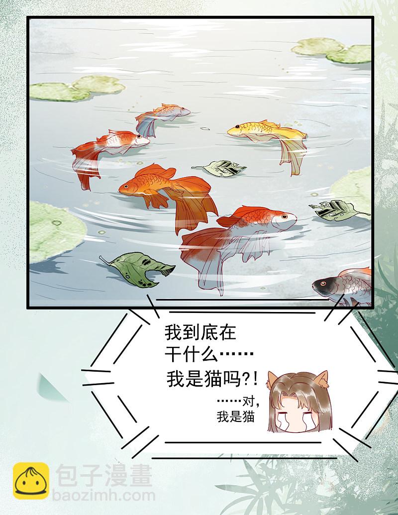 37-一只逃跑喵-第40话