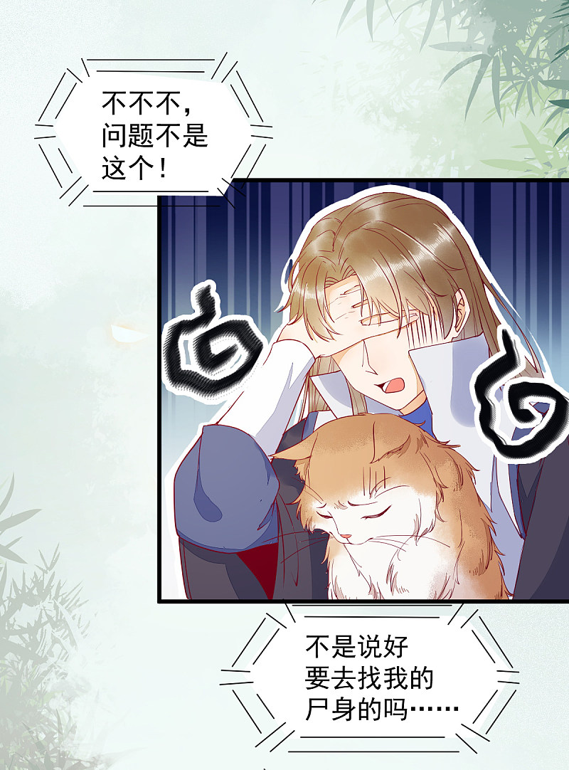 37-一只逃跑喵-第40话