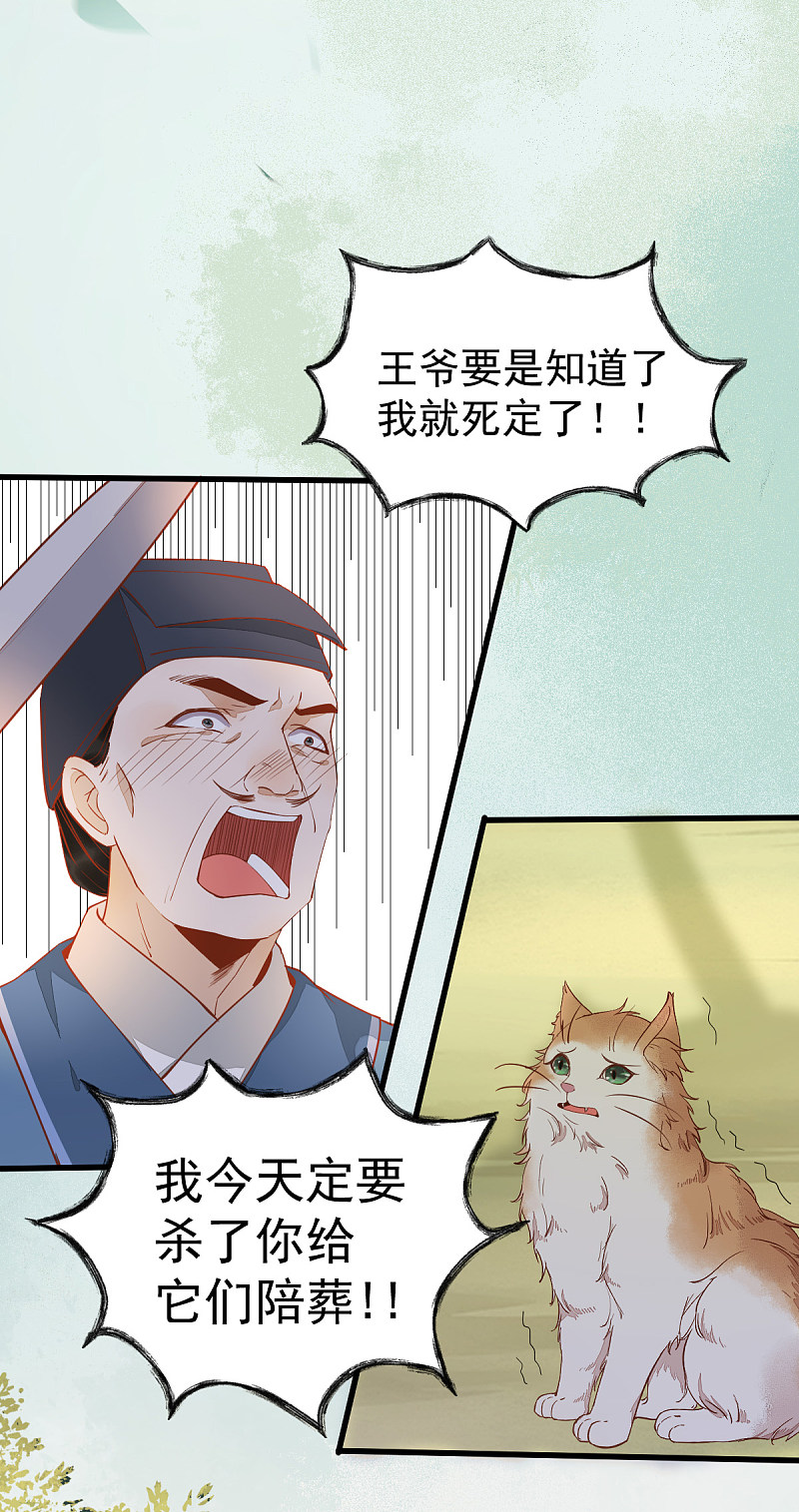 37-一只逃跑喵-第40话