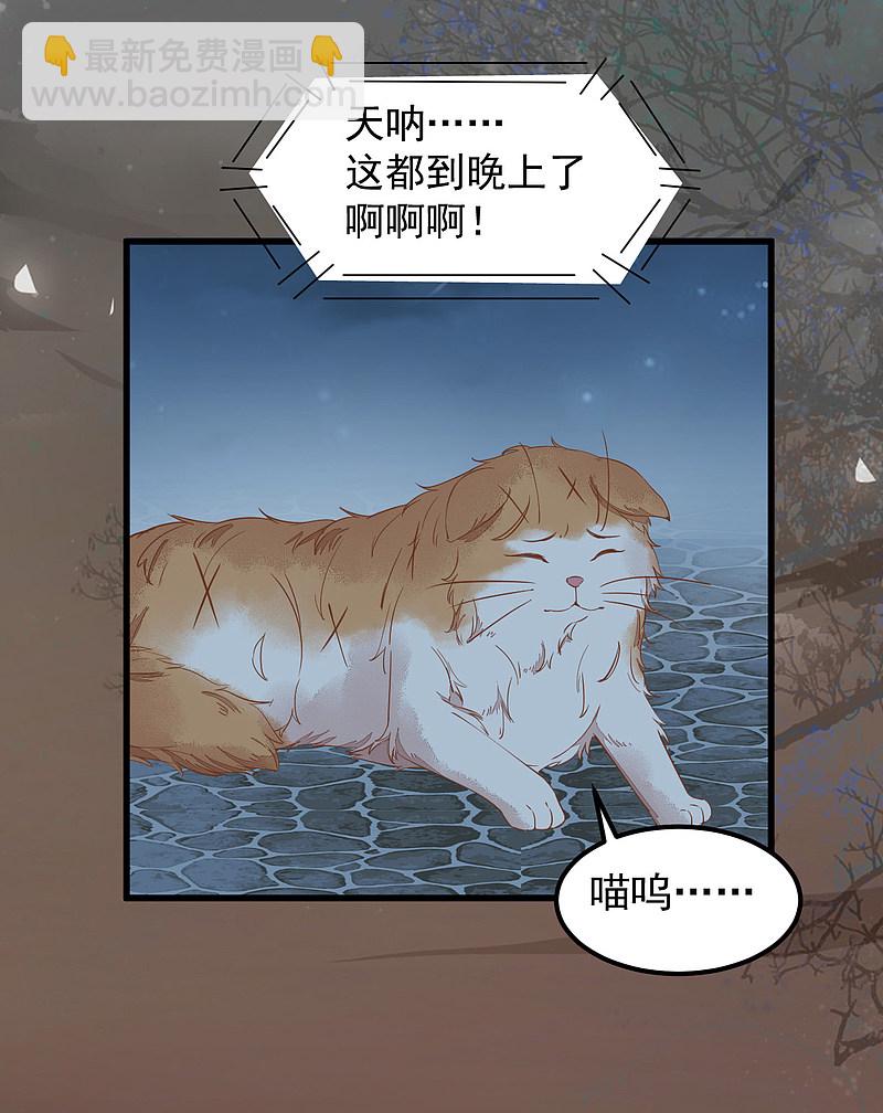 37-一只逃跑喵-第40话