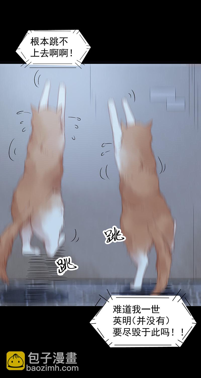 37-一只逃跑喵-第40话