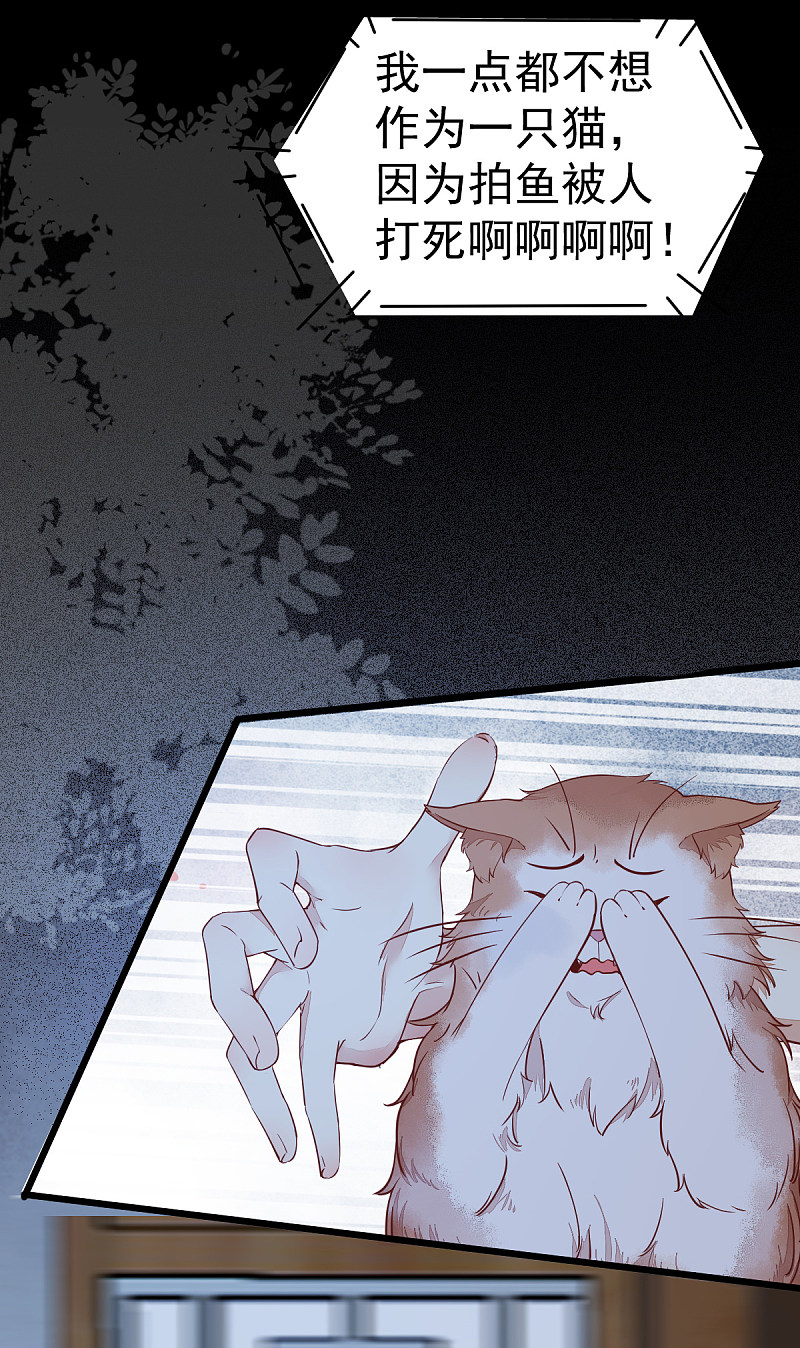 37-一只逃跑喵-第40话