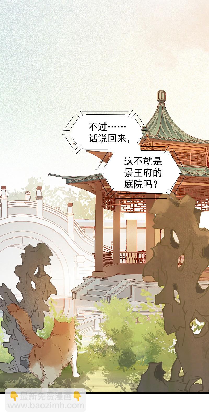 37-一只逃跑喵-第40话