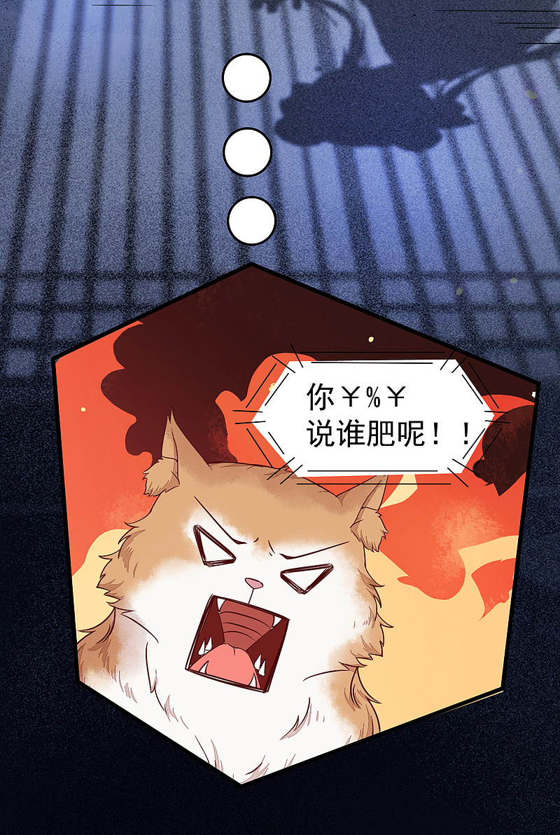 37-一只逃跑喵-第40话