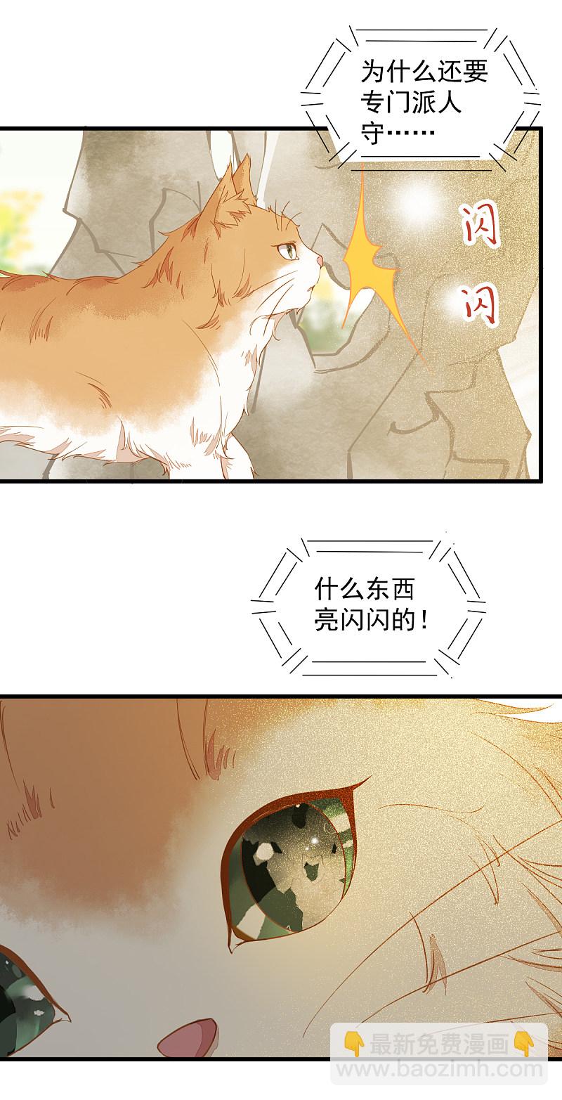 37-一只逃跑喵-第40话