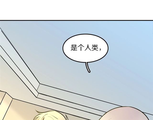 第19话 傻子互怼(1/2)-第20话