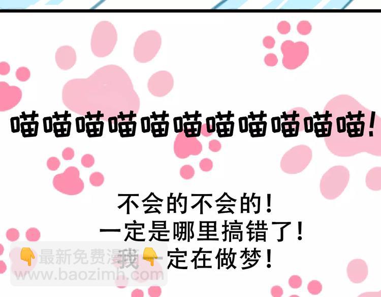 第1话 从天而降的萌宠(1/2)-第2话