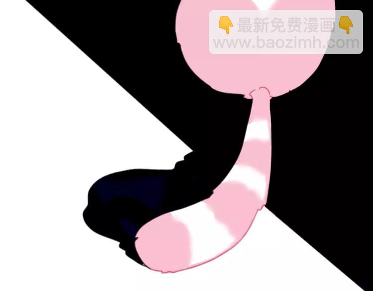 第1话 从天而降的萌宠(1/2)-第2话