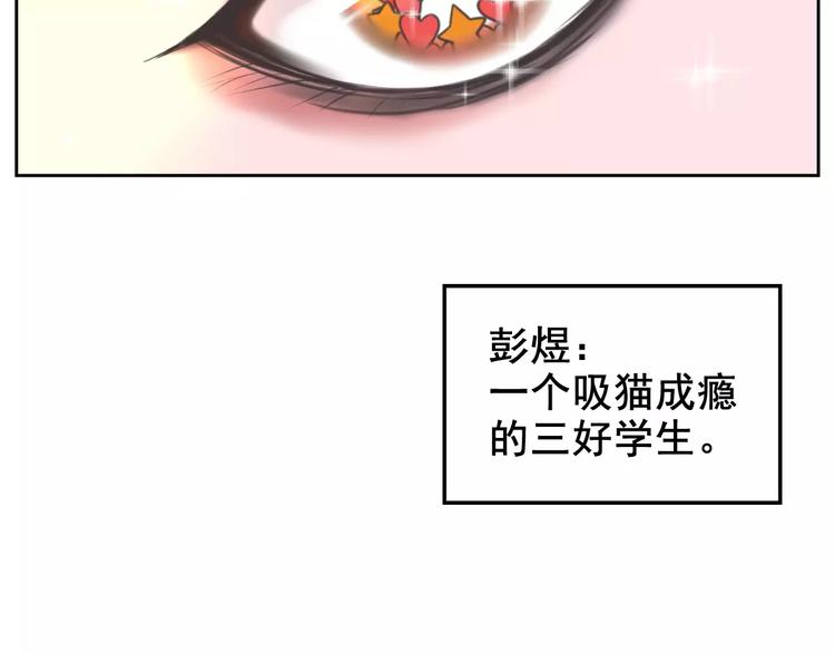 第1话 从天而降的萌宠(1/2)-第2话