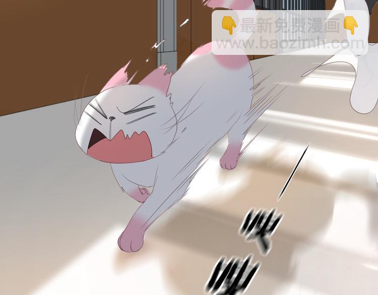 第12话 怀中抱猫(1/2)-第12话