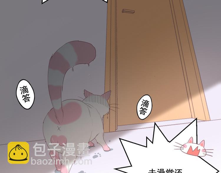 第12话 怀中抱猫(1/2)-第12话