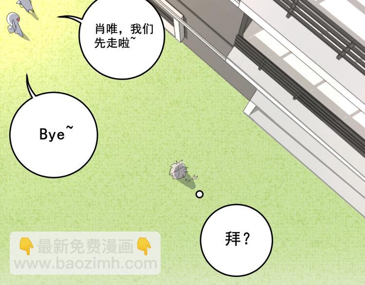 第12话 怀中抱猫(1/2)-第12话