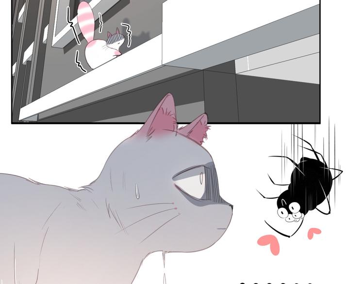第12话 怀中抱猫(1/2)-第12话