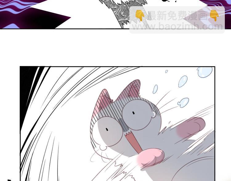 第12话 怀中抱猫(1/2)-第12话