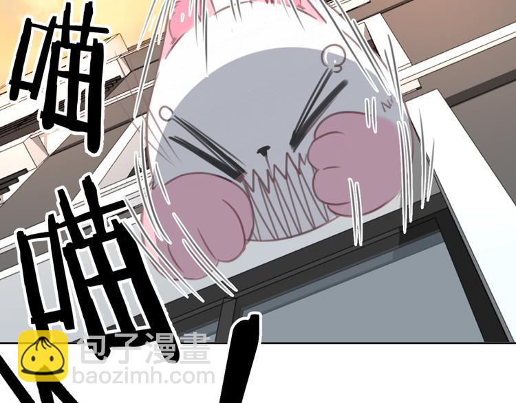 第12话 怀中抱猫(1/2)-第12话