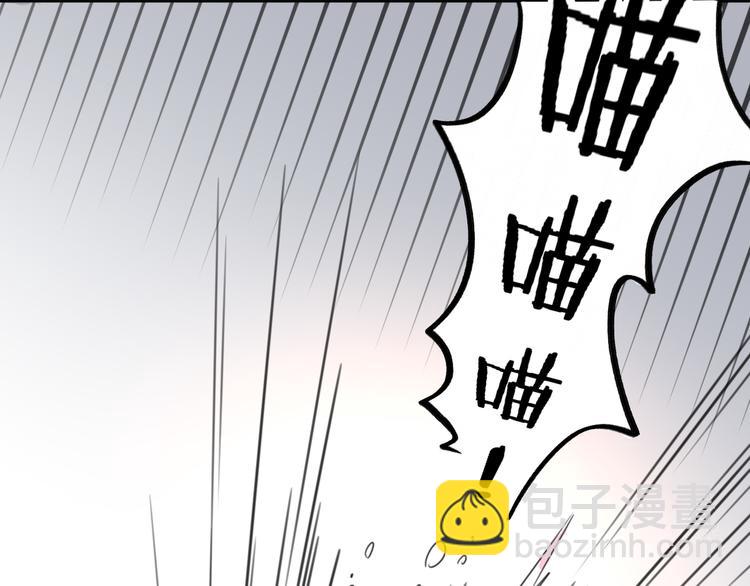 第12话 怀中抱猫(1/2)-第12话