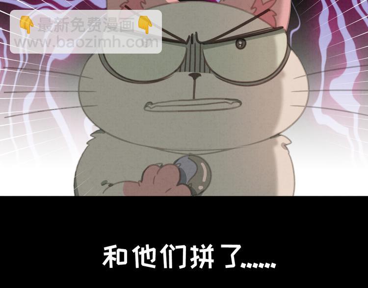 第27话 万猫之首(1/2)-第28话