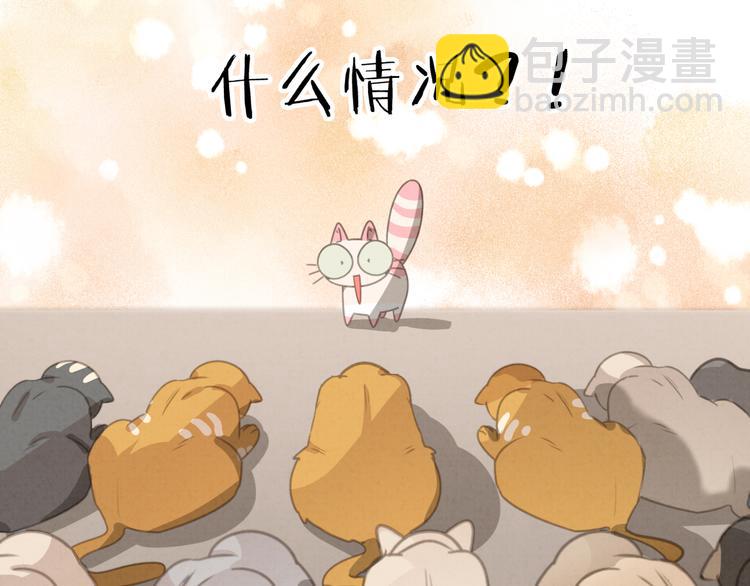 第27话 万猫之首(1/2)-第28话