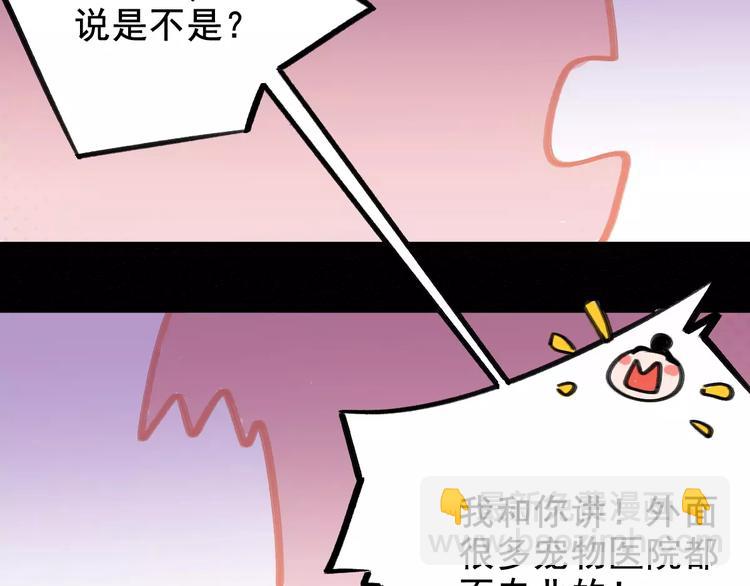 第4话 别当我是病喵(1/2)-第4话