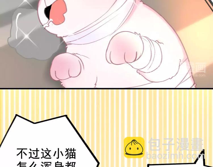 第4话 别当我是病喵(1/2)-第4话