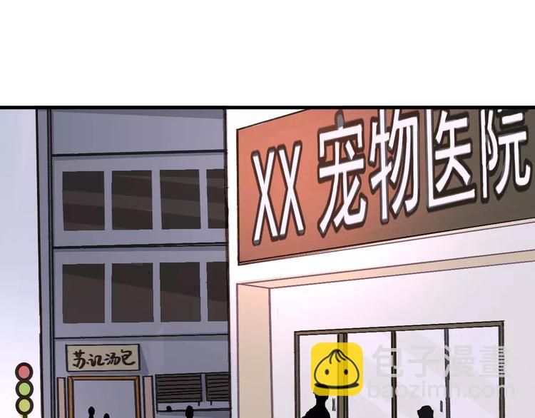 第4话 别当我是病喵(1/2)-第4话