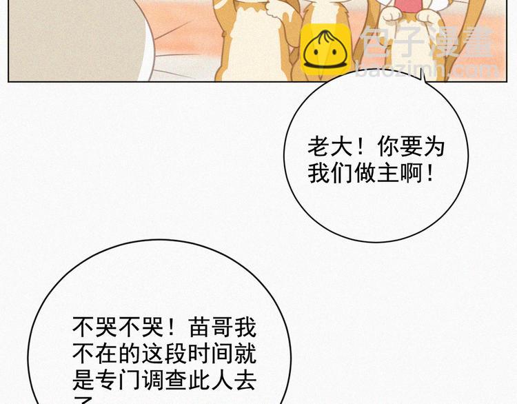 第33话 我的情敌是只猫？(1/2)-第34话