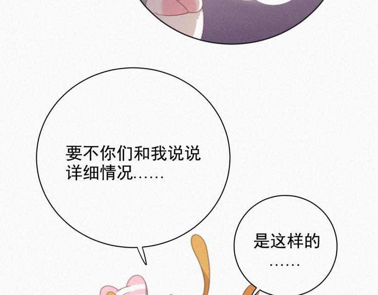 第33话 我的情敌是只猫？14